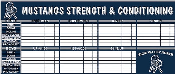 sports record board display